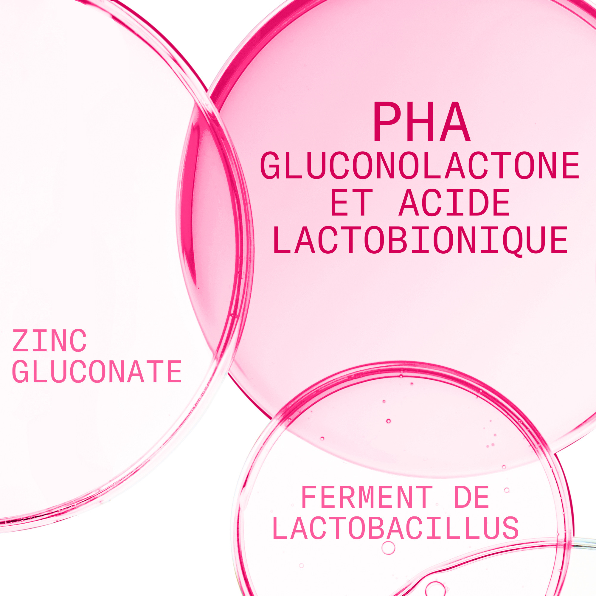 Gluconolactone et Acide Lactobionique-Image4